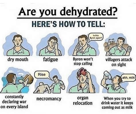 dehydrated meme|More.